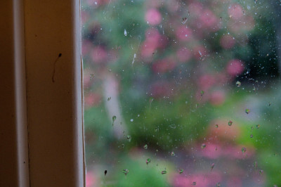 Arrival in Australia
 Hero