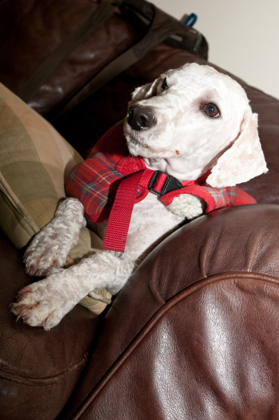 Arrival in Australia
 Hero