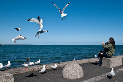 Arrival in Australia
 Hero