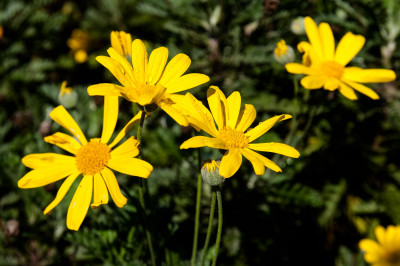Columbia Ave and Grandfill Reserve
 Hero
