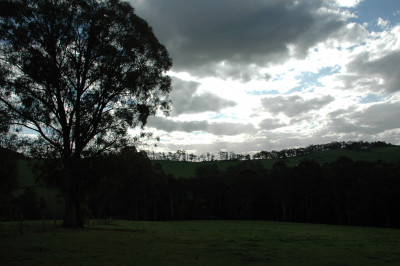 Gembrook September 20th 2009
 Hero