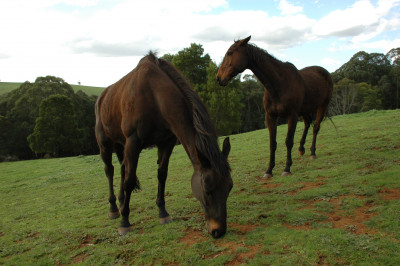 Gembrook September 20th 2009
 Hero