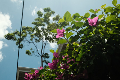 Fujifilm X100VI
 Hero