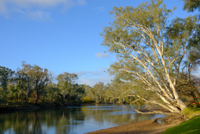 Albury-Wodonga 2018
 Hero