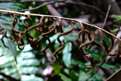 Apollo Bay and The Otways
 Hero