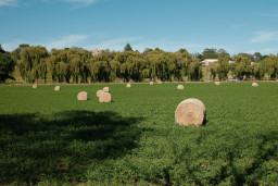Bairnsdale 2025
 Hero