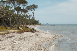 Bairnsdale 2025
 Hero