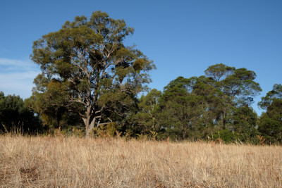 Family Camp 2019
 Hero