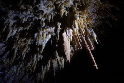 Buchan Caves