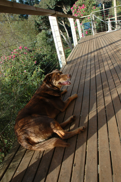 Australia 2009
 Hero