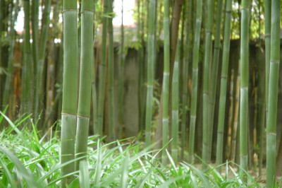 Chengdu