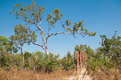 Darwin and Litchfield National Park (abridged)
 Hero
