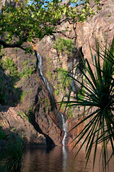 Darwin and Litchfield National Park (abridged) Darwin and Litchfield National Park (abridged)