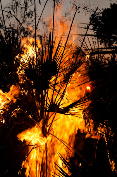 Darwin and Litchfield National Park (abridged)
 Hero