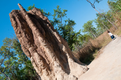 Darwin and Litchfield National Park
 Hero