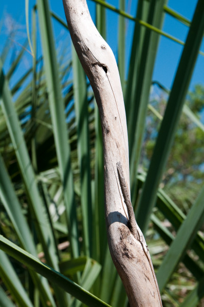 Darwin and Litchfield National Park
 Hero