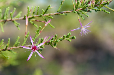 Darwin and Litchfield National Park
 Hero