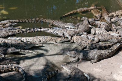 Darwin and Litchfield National Park
 Hero