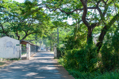 Philippines 2015
 Hero