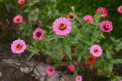 Philippines and Indonesia 2024
 Hero