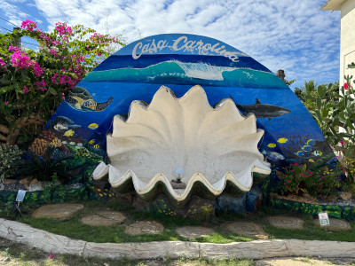 Overseas Trips Overseas Trips