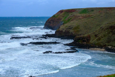 Phillip Island and Great Ocean Road 2023
 Hero