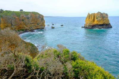 Phillip Island and Great Ocean Road 2023
 Hero