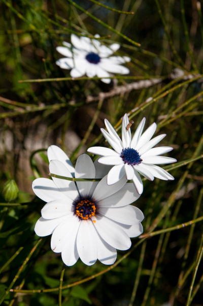 September 2010
 Hero