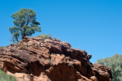 South Australia 2011
 Hero