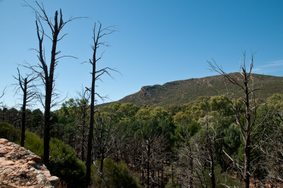 South Australia 2011
 Hero