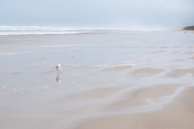 South Gippsland
 Hero