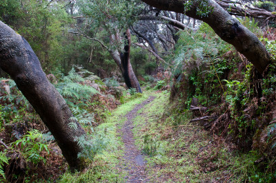 South Gippsland South Gippsland
