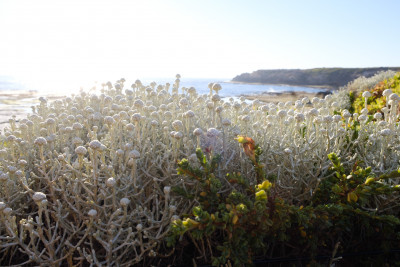 Warrnambool - Christmas 2019
 Hero
