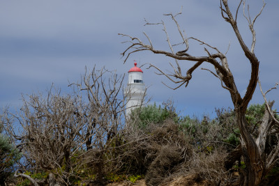 Warrnambool - Christmas 2018
 Hero