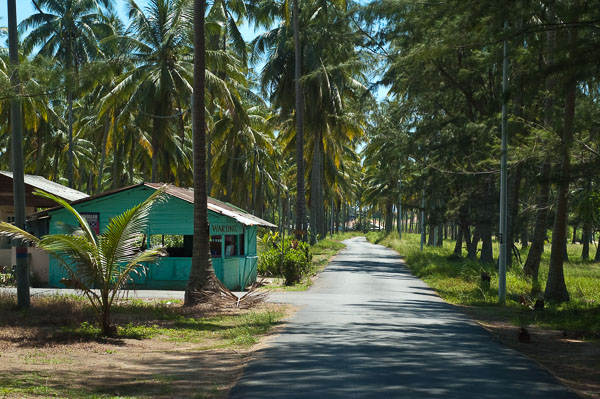 Desaru Cycling Trip, May 29 2010
 Hero