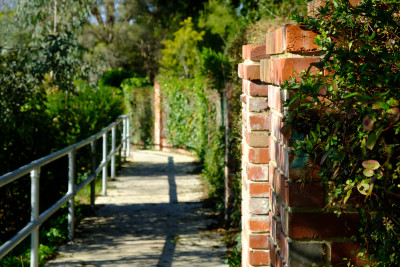 Alto Avenue Alto Avenue