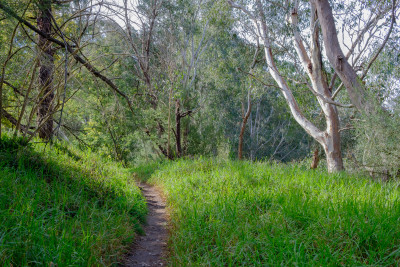 Banyule Flats Banyule Flats