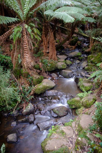 Dandenong Ranges 2023
 Hero