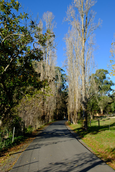 Dandenong Ranges Dandenong Ranges