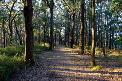 Dandenong Ranges
 Hero