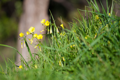 Hochkins Ridge Reserve
 Hero