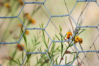 Hochkins Ridge Reserve
 Hero