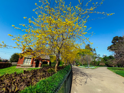 iPhone 15 Pro Max LR
 Hero