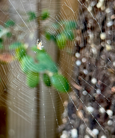 iPhone 15 Pro Max
 Hero