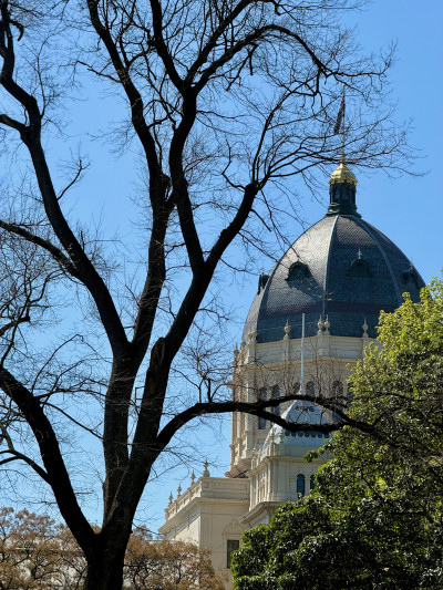 iPhone 15 Pro Max
 Hero