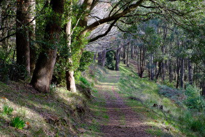 Kalorama to Mount Dandenong
 Hero