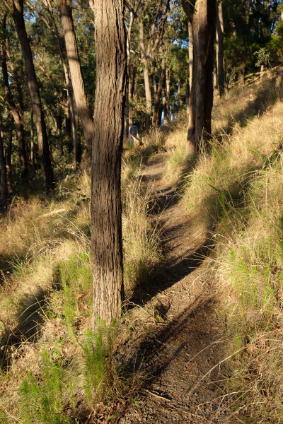 Kalorama to Mount Dandenong
 Hero