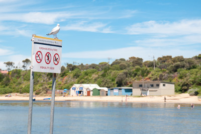 Mornington Beach
 Hero
