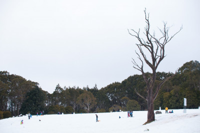 Mount Donna Buang
 Hero