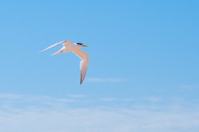 Mouth of Powlett River
 Hero